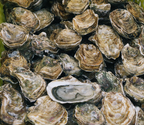 Oyster Sauce. What is It and What Can You Do with It