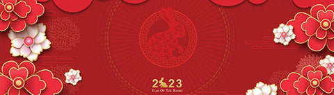 Spring Festival Chinese New year