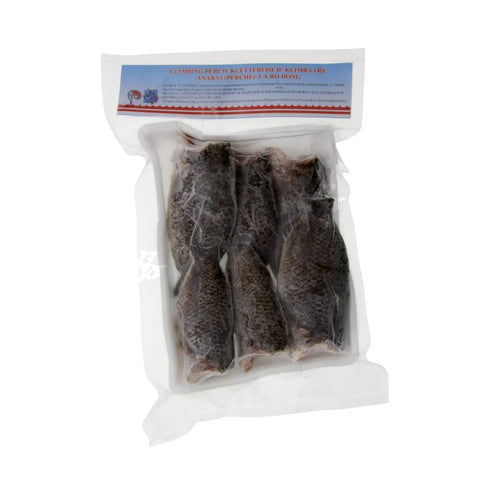 Climbing Perch Gourami 50-70 (Asian Pearl) 450g