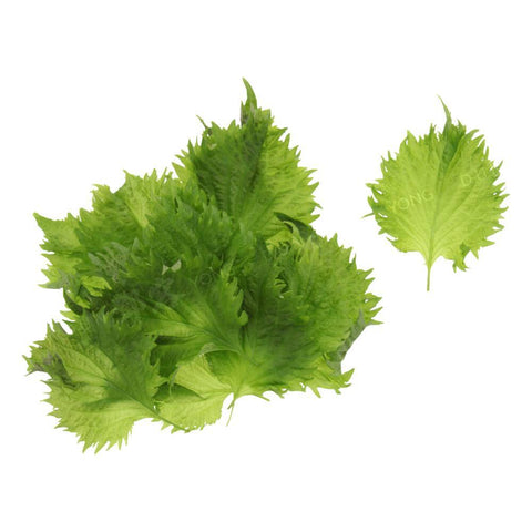 Fresh Shiso Leaves (Shiso Green) 40g