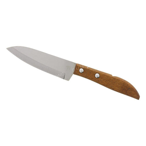 Fruit Knife with Wood Handle #503 10cm (Kiwi)