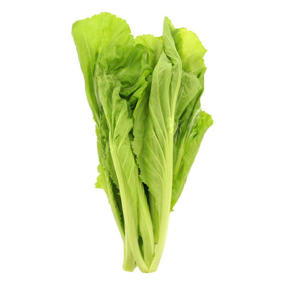 Fresh Chinese Mustard Greens Jie Cai (NL) 300g Dun Yong
